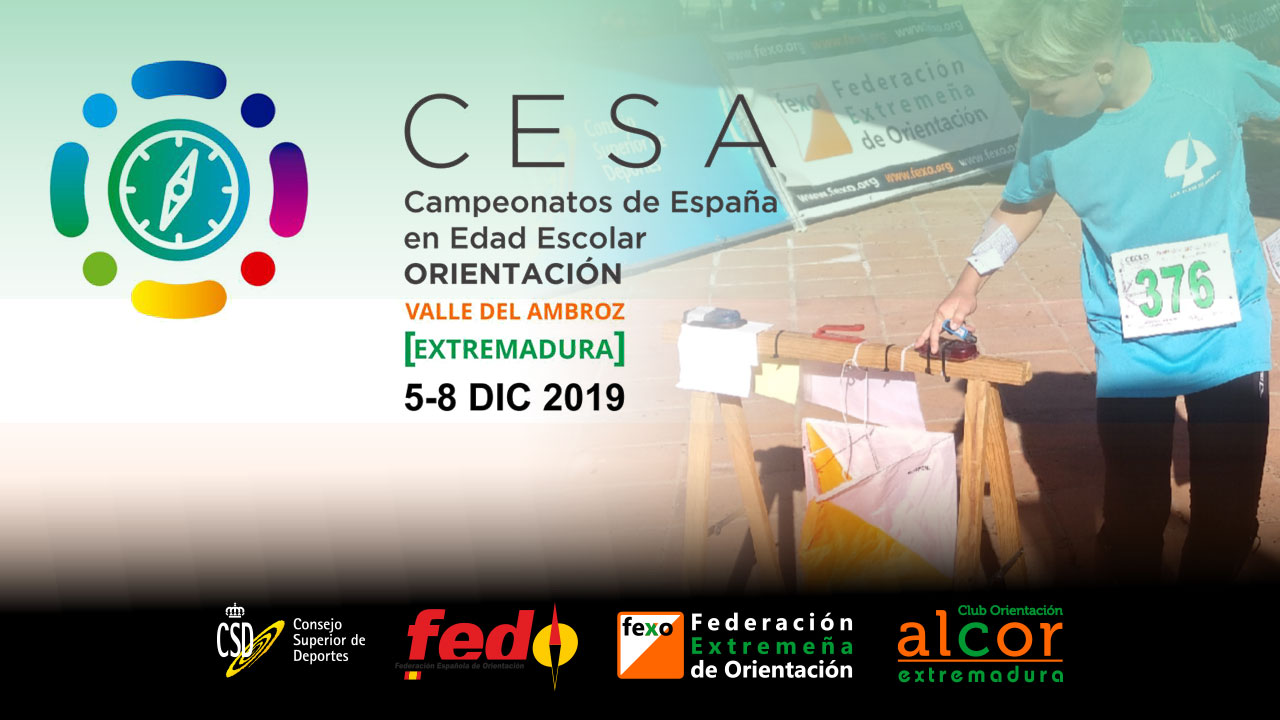 CEEO 2019