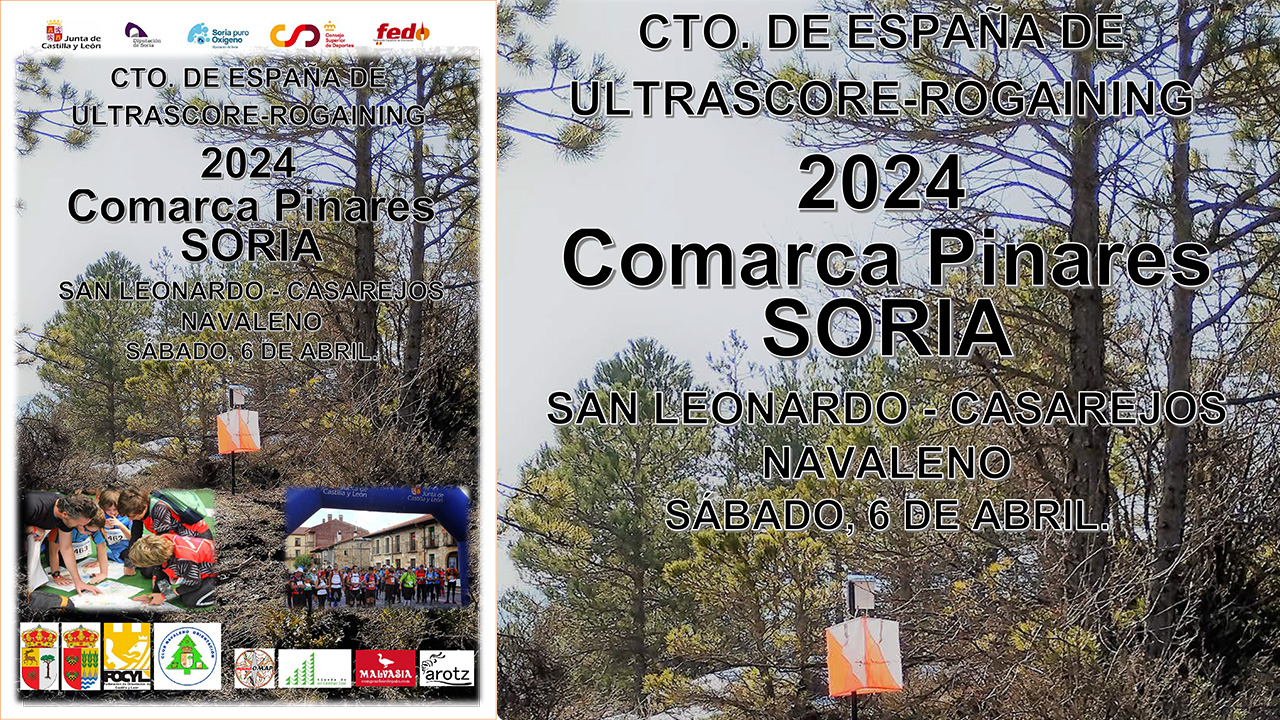 CEUR 2024