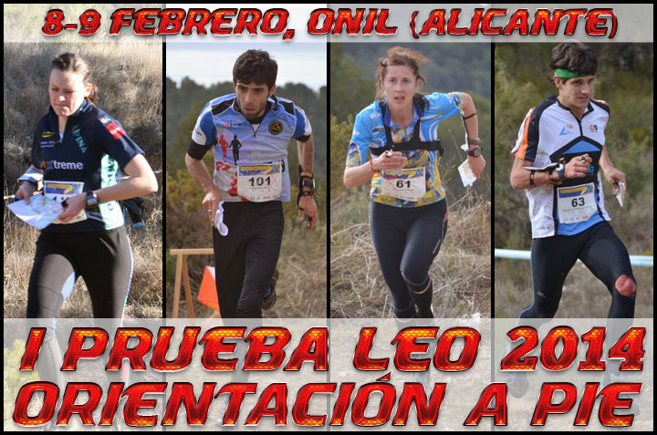 LEO 2014