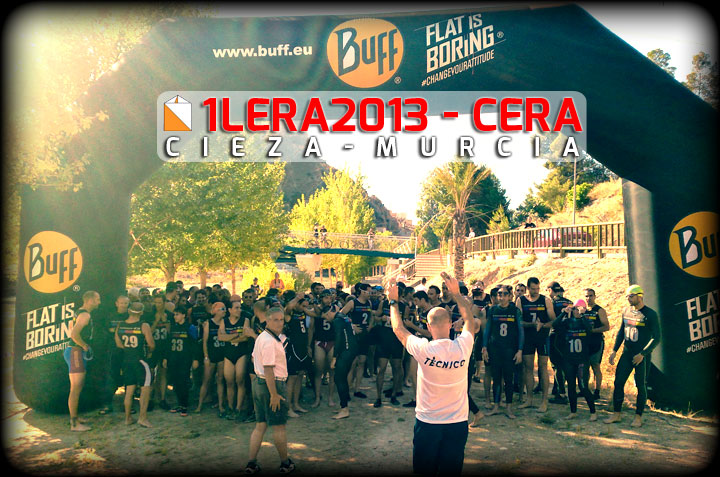 CERA 2013