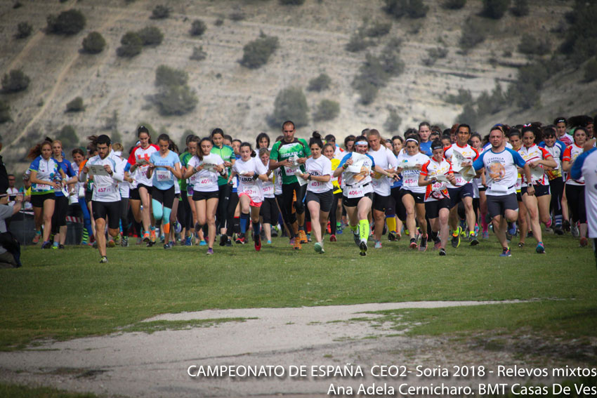 Liga Española de Orientación 2018