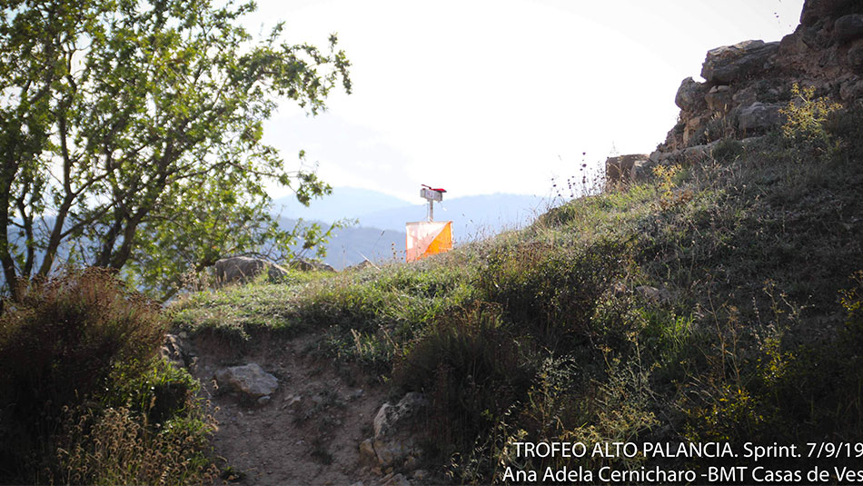 Liga Española de Orientación 2019