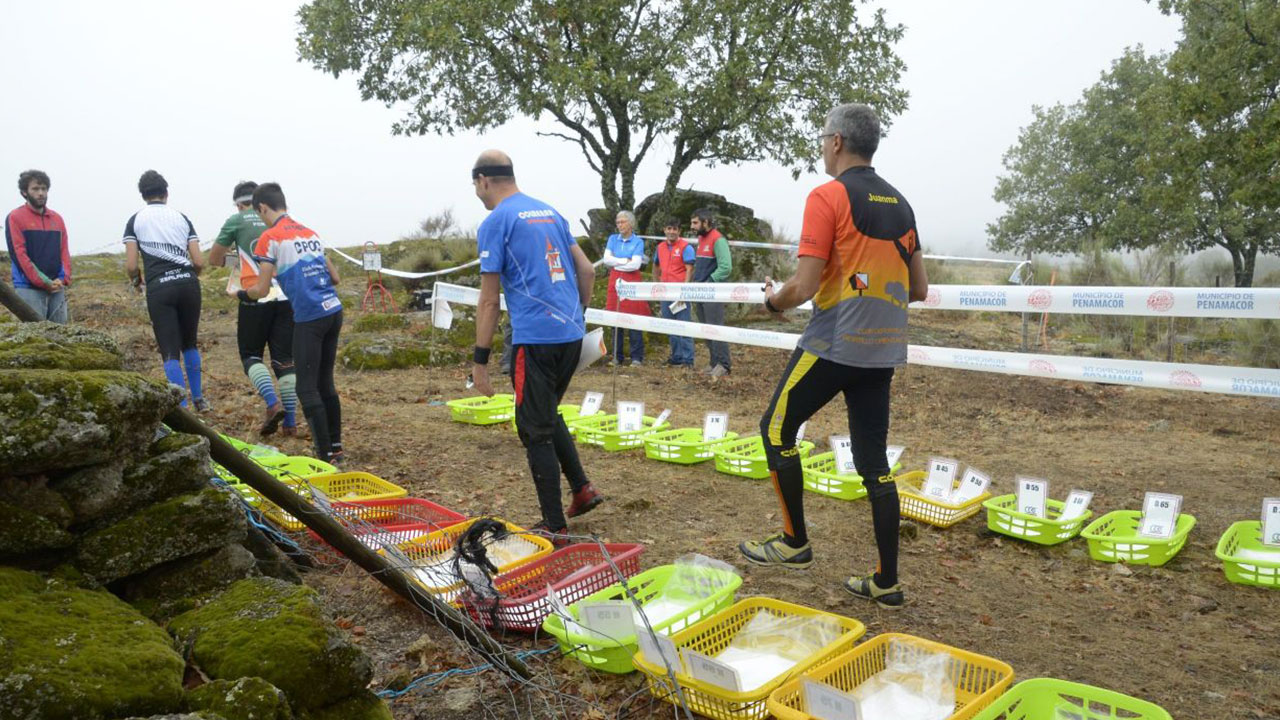 Liga Española de Orientación 2019