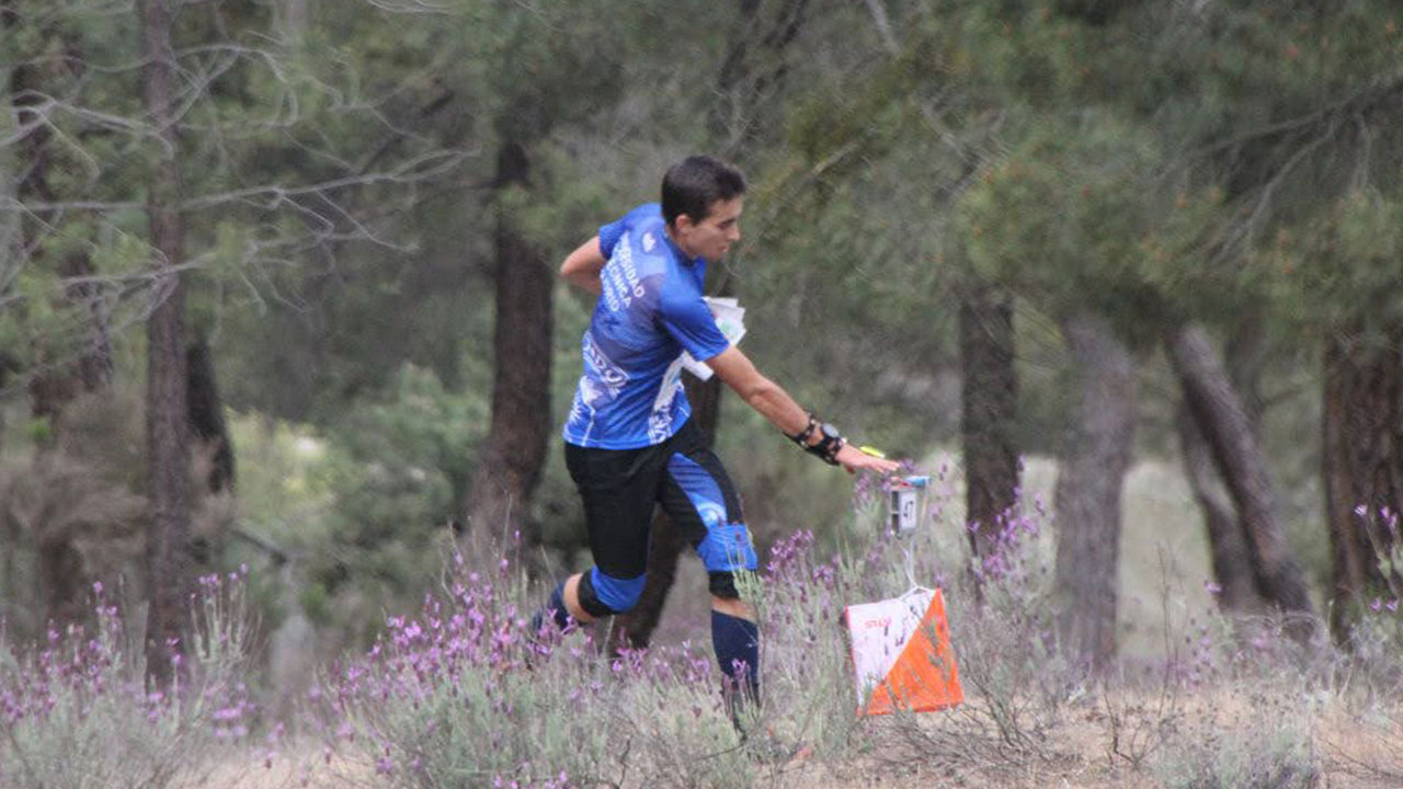 Liga Española de Orientación