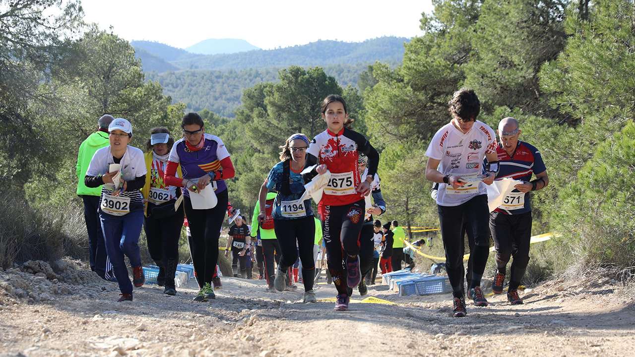 Liga Española de Orientación