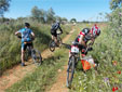Orientación Bicicleta de Montaña