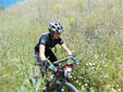 Orientación Bicicleta de Montaña