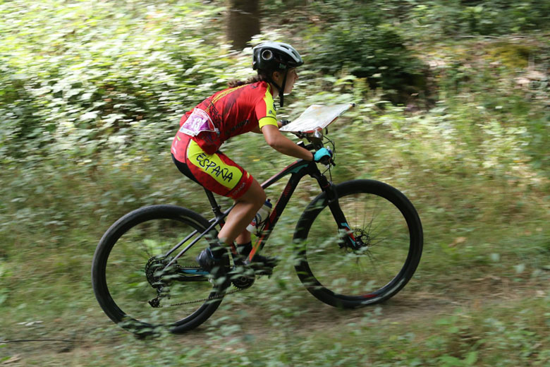 MTBO 2017