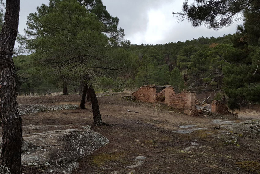 Campeonato de Castilla-La Mancha de Orientación 2017